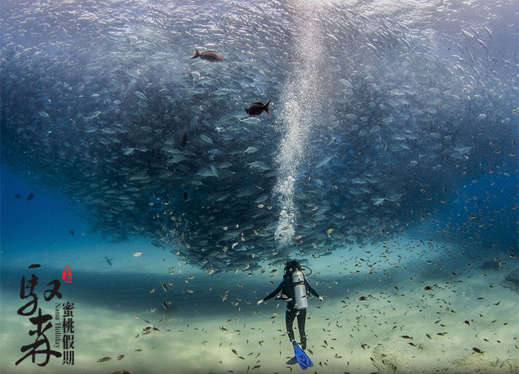 潜水24小时能坐飞机吗,潜水后多久才可以采耳