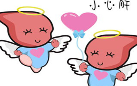 脂肪肝冬天喝什么茶好,脂肪肝应该怎样调理饮食