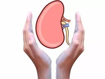 养肾健康第一重要,养肾三大秘法