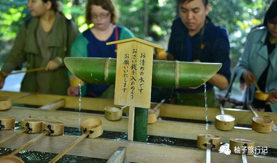 樱花旅行记全集视频,日本樱花7日游攻略大全