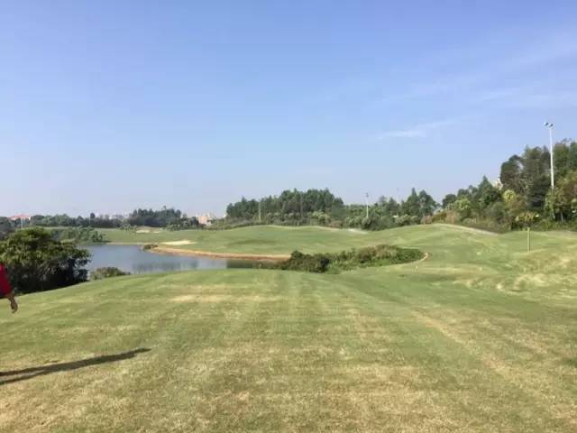 世界冠军专程助阵,为参赛球队提供总决赛球场最全攻略