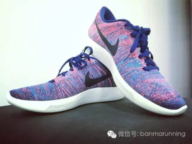 斑马测评视频,斑马测评