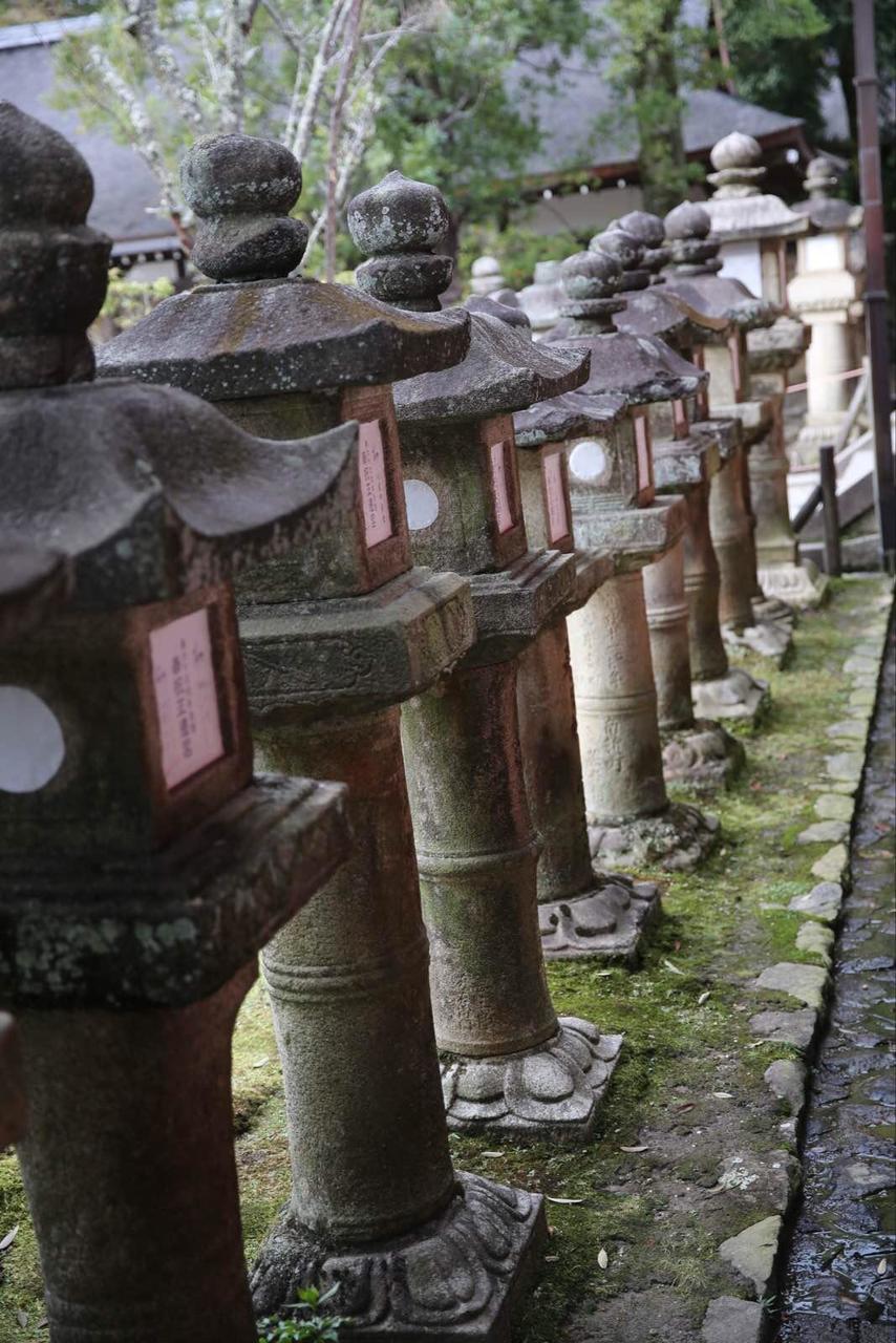 关西温泉六日游,大阪关西机场温泉