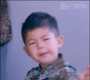 葛优恐高症,葛优有多怕坐飞机