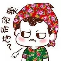 《东北话》的魅力,东北话的魅力完整版