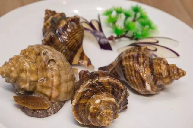 闇插彴澶氳倝鑺卞洯椁愬巺,澶氳倝妞嶇墿椁愬惂