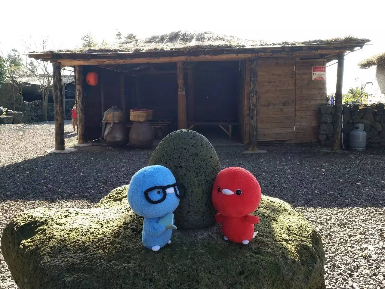 有关世界足球日的内容,历届世界足球日主题