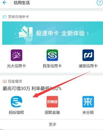 花呗借呗京东哪个划算,花呗京东白条谁更合算