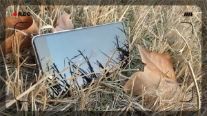 z11minis鎵嬫満,灏忔棗鑸皕11minis