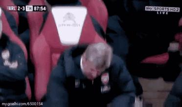 灯谜打一生肖,年年出线稳如狗