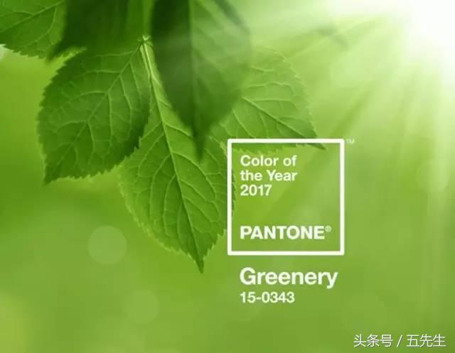 pantone公布2018年流行色彩预测,pantone公布的2019年度色彩是
