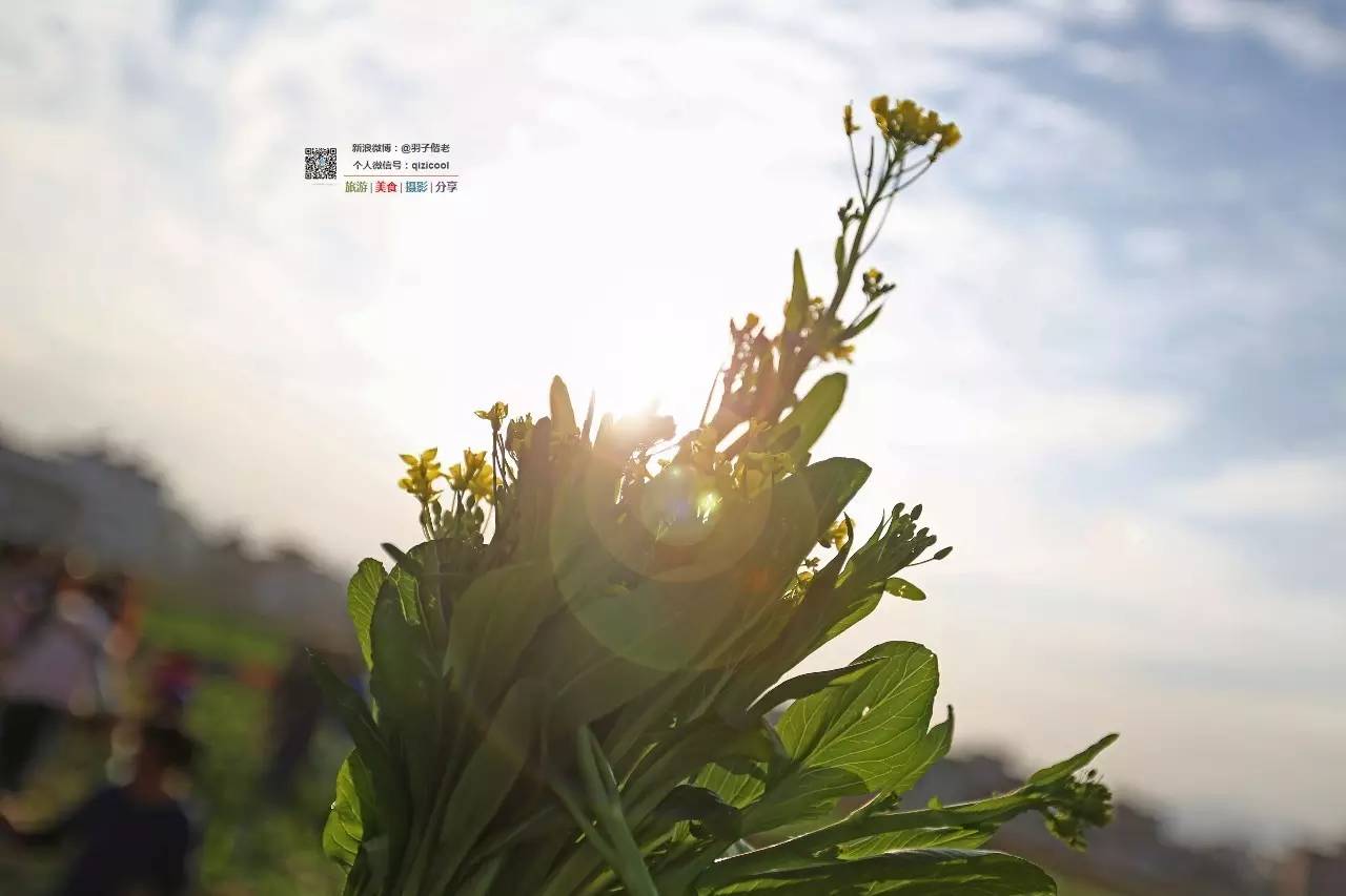 去清远连州怎样最方便,广东连州攻略