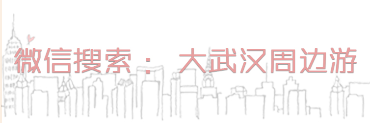 尖叫吧原版视频,尖叫吧视频大全