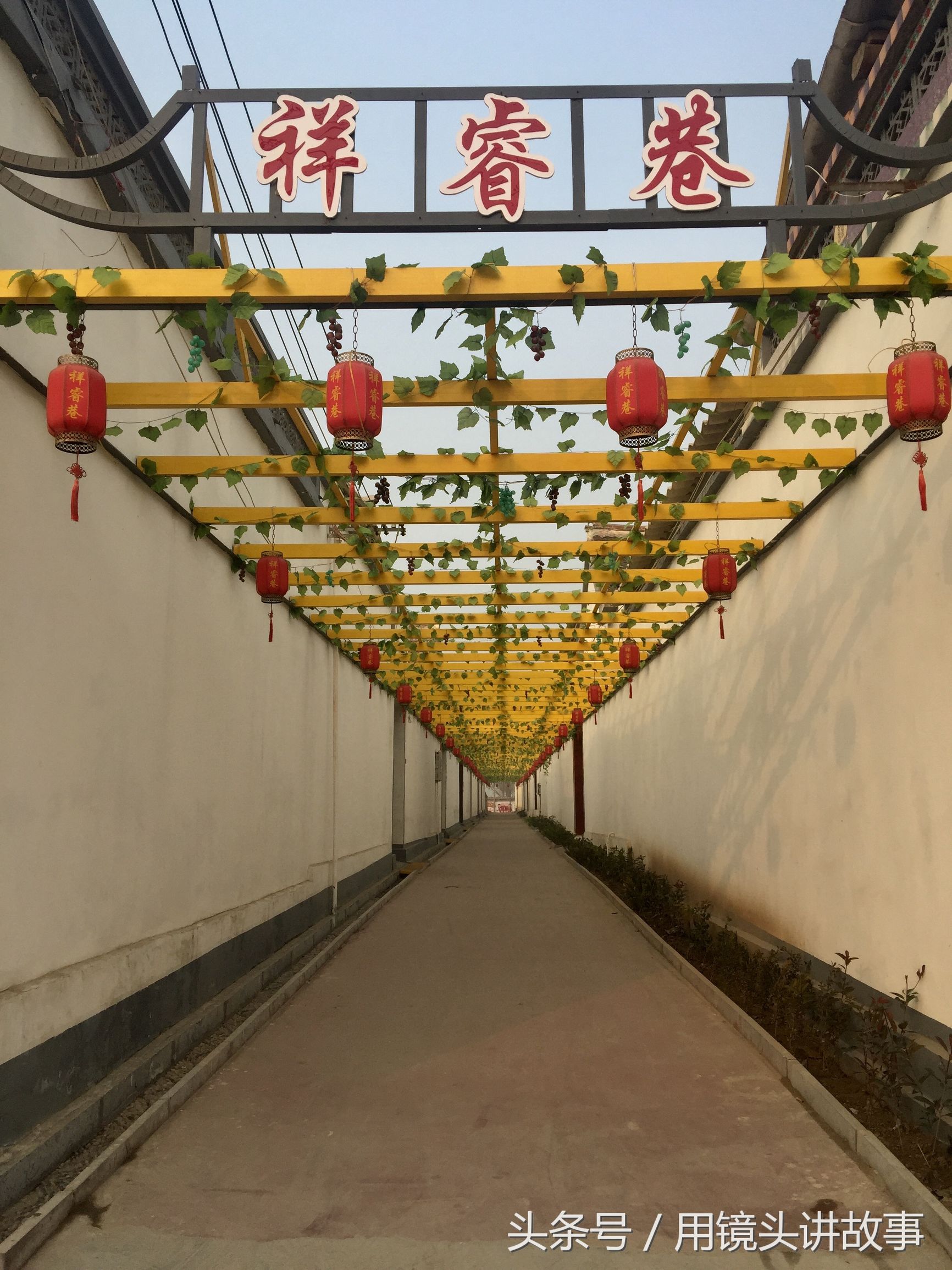 洋县的名片大全,乾县名片