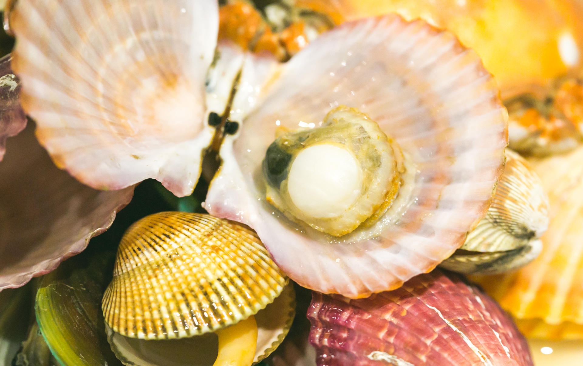 津城海鲜自助,天津蒸汽海鲜自助