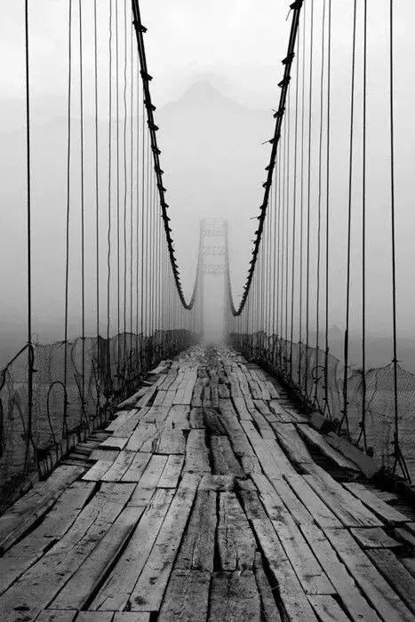 惊人的三大成功定律看完受益终生,十大社会定律让你受益终生