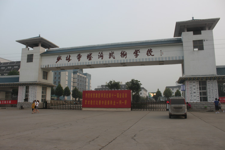 河南登封塔沟武校万人表演直播,河南郑州登封塔沟武术学校打山门