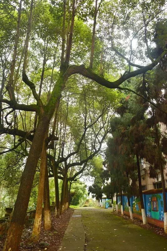 Hello!眉山车辆厂!只有东北人能看懂!