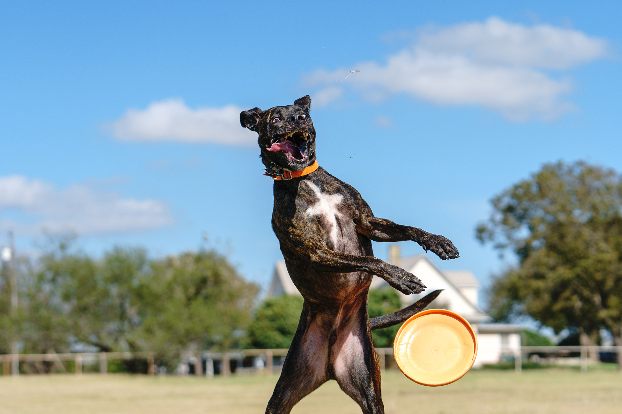 索尼a6500评测,索尼a6500镜头