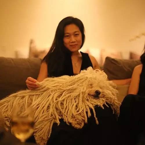 天价的狗,天价狗的视频大全