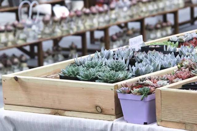 这家店花1000万，只为提升浙江人的生活幸福感！