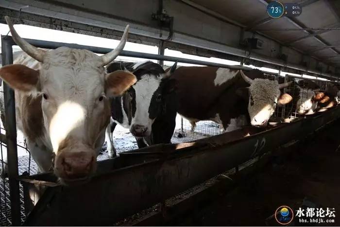 水都网友看农业感受水都新变化