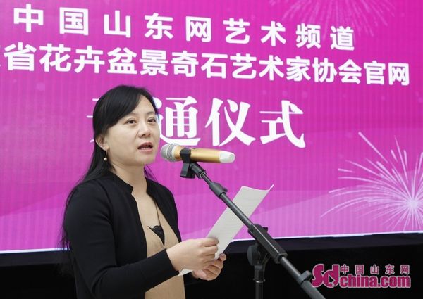 山东花卉盆景奇石艺术家协会,山东盆景赏石协会