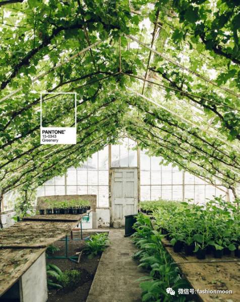 pantone2019年流行色都有什么,pantone2023流行色英文视频