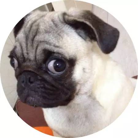 在上海看病,上海看病最新方法