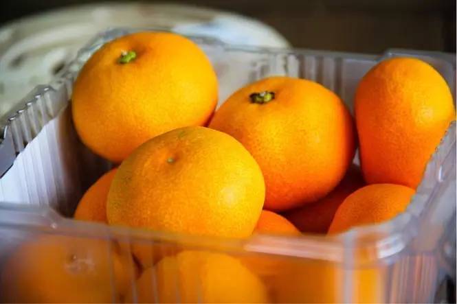 我们采访了四个国家和地区的姑娘们，来认真跟你聊一聊必买保健品这件事