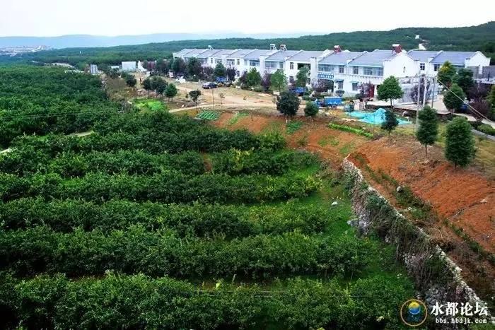 水都网友看农业感受水都新变化