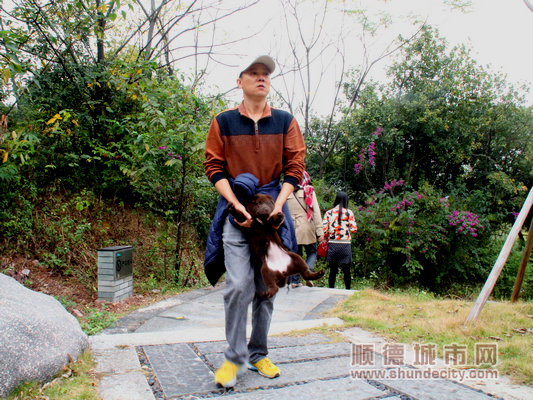 采风的活动,采风活动