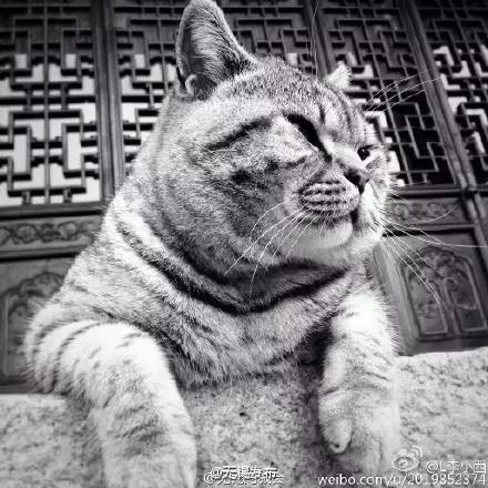 有一段安静的时光,有一段时光沉淀在记忆深处