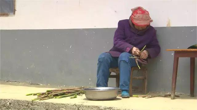 神农架自然保护区旅游攻略,神农架秘境演出值得看吗