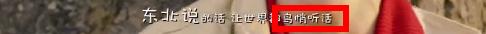 科普一下你不知道的,全世界都在说的东北话