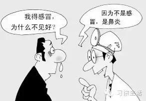 丹皮酚治鼻炎使用方法,苍耳子治鼻炎正确方法