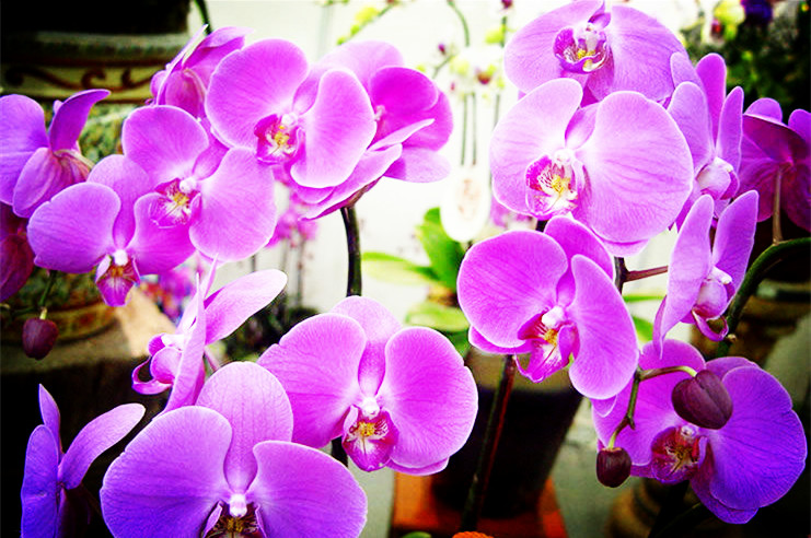 小学期末考试作文跑题扣多少分,期末作文怎么提分最好