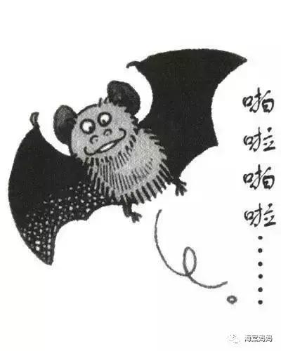 海棠科普丨天啊，居然还有这种排便方式