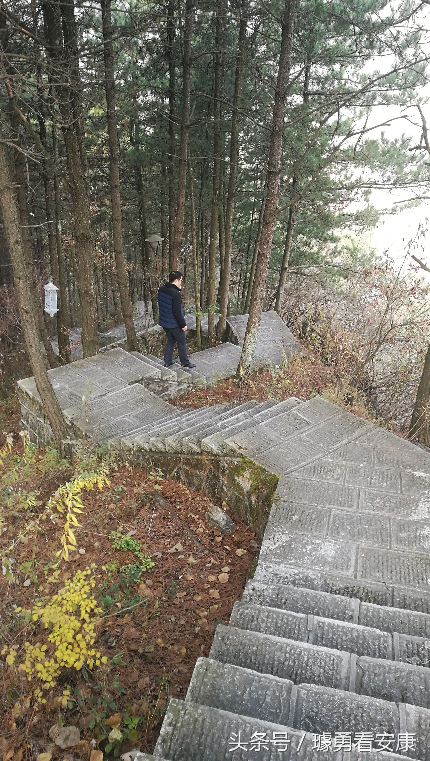 这里是中国慢城，一个让人能够宁静的城市这里环境美人情更美