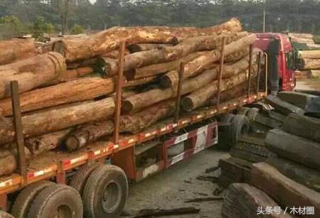 国内的木材行情和国外的木材行情,国际木材市场分析