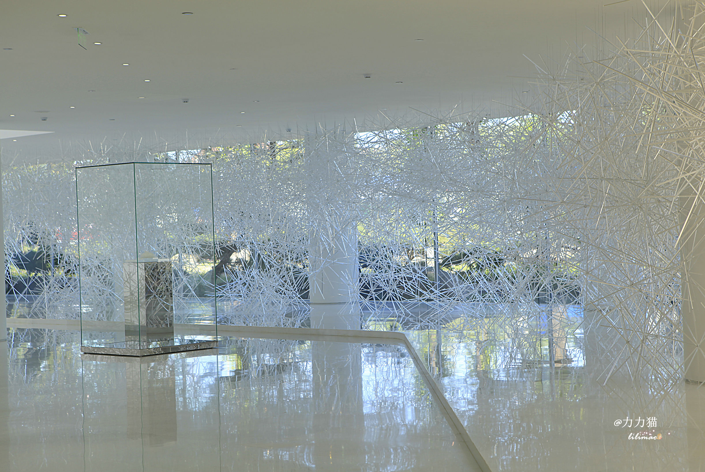 罗红摄影艺术馆蛋糕价格,罗红艺术馆黑天鹅蛋糕