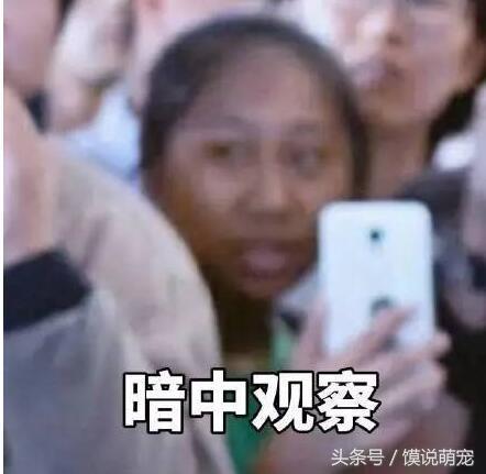 虹桥一姐爆红视频,虹桥一姐现在怎么样了