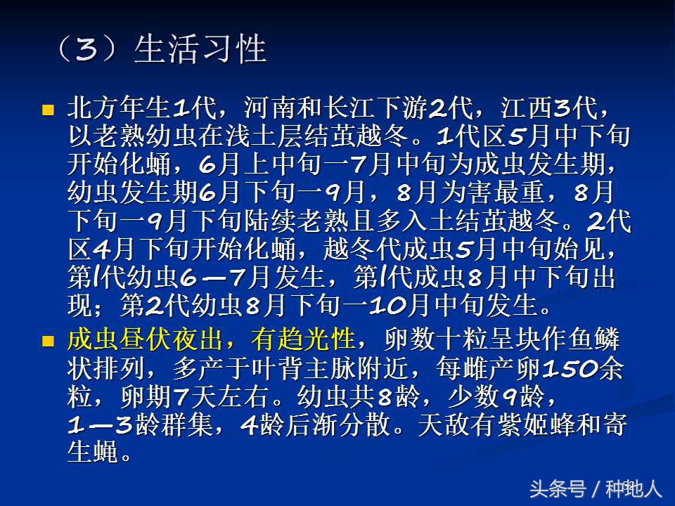 会吃叶子的虫子有哪些,哪些虫子爱吃树叶虫