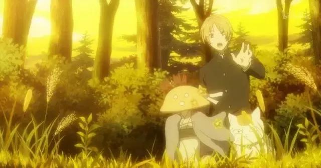 夏目友人帐第五季完结回顾，第六季，明年见！