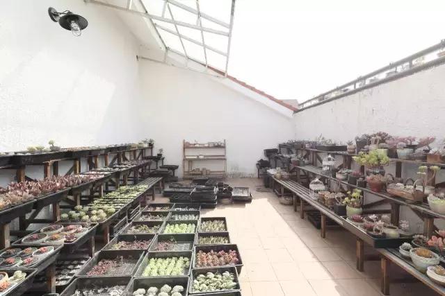 「新深漂」我们在租来的10㎡里，梦想装下整个世界