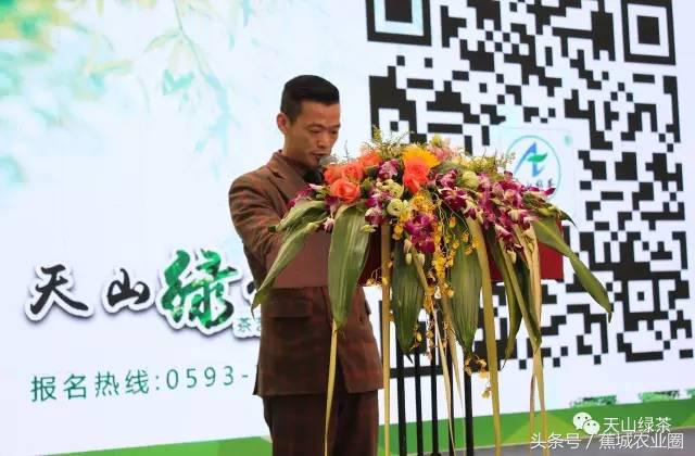 绿茶赏茶表演,福鼎白茶茶艺表演