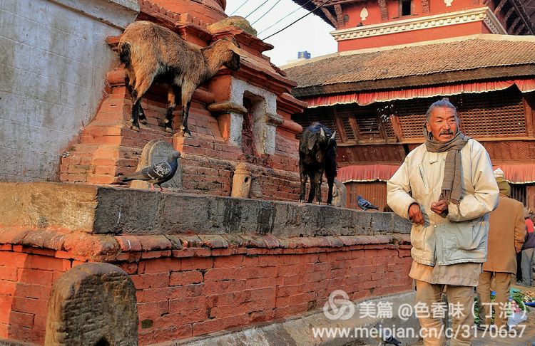 探秘尼泊尔牧羊人,探秘尼泊尔国家森林公园