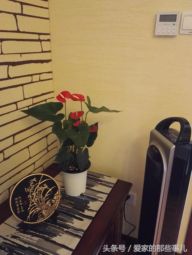 他们精心打造的简美小屋!屋主们又会有什么样的心得