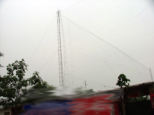 信鸽比赛全过程记录,信鸽比赛归巢全过程视频