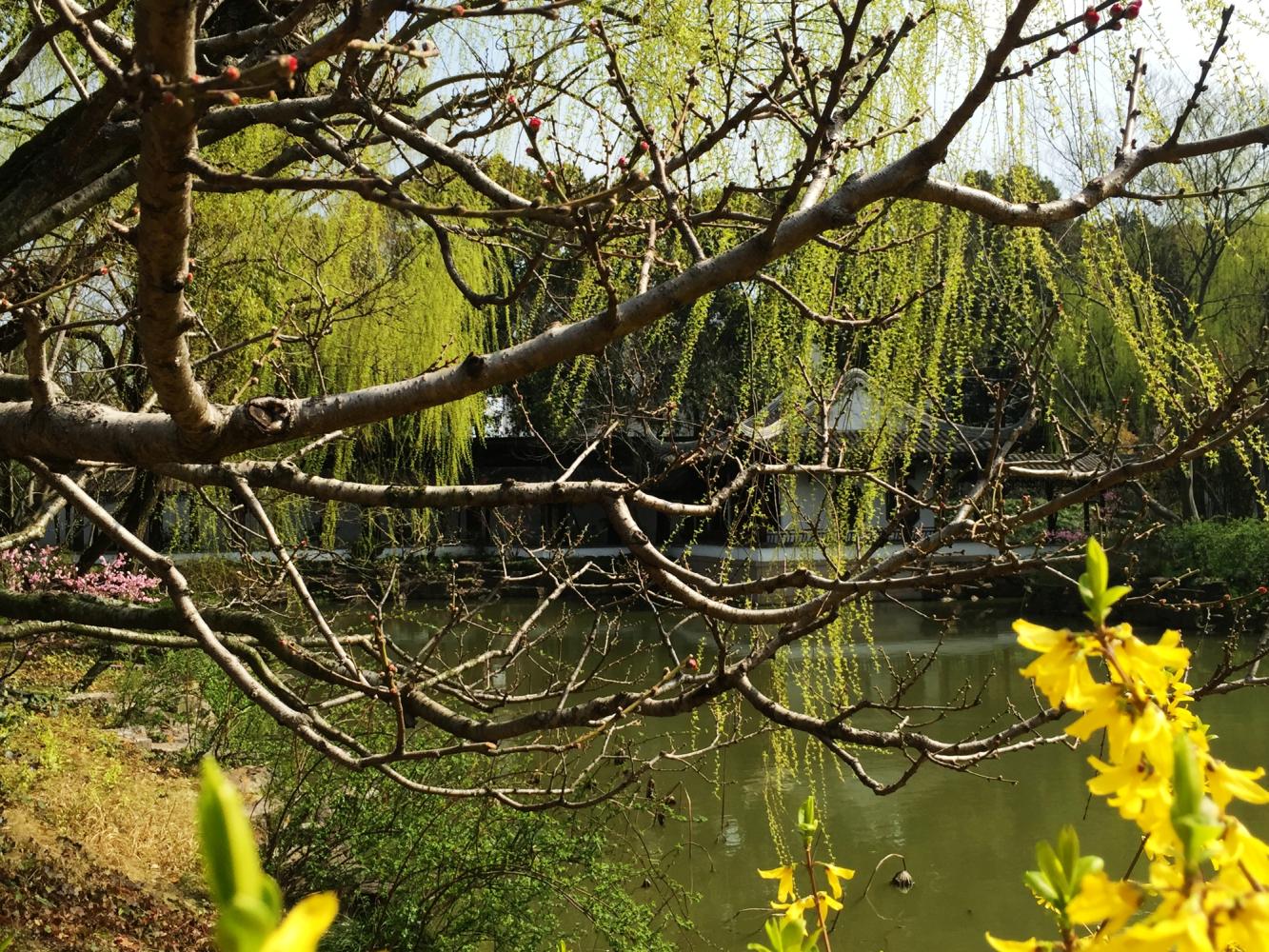 澶粨鍗楀洯鍘嗗彶鑳屾櫙,鍥捐澶粨鍘嗗彶